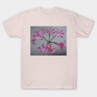 6 x Glockenblume in rosa - T-Shirt